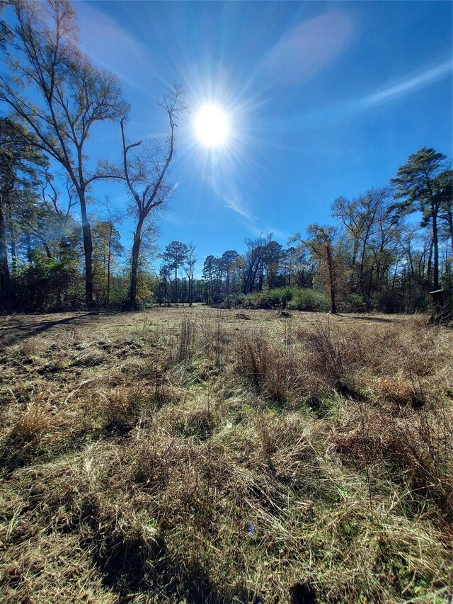 613 Fm 2663, Crockett, TX 75835 - photo 10