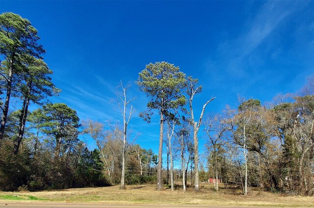 613 Fm 2663, Crockett, TX 75835 - photo 13