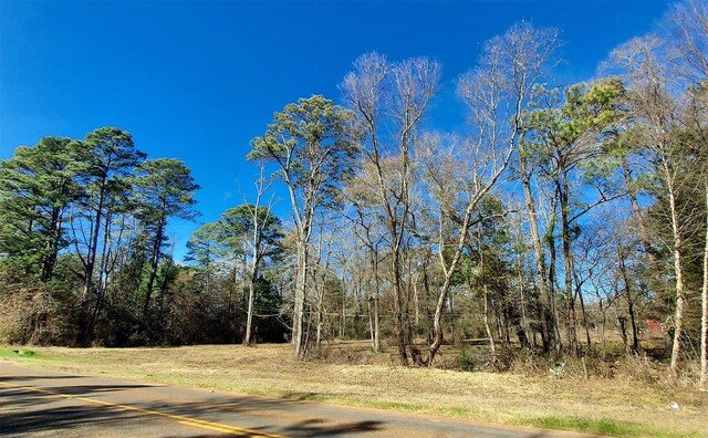 613 Fm 2663, Crockett, TX 75835 - photo 15