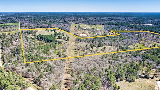 10994 N Bilnoski Rd N, Willis TX, 77378 land for sale