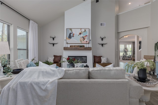 living room with hardwood / wood-style floors and lofted ceiling