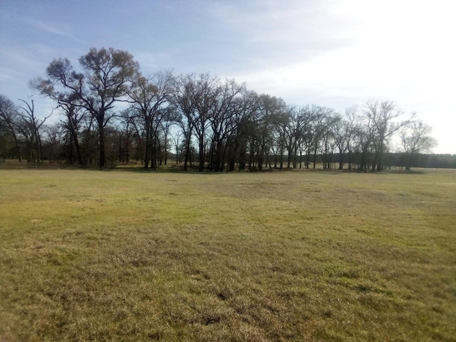 TR87 County Road 231, Centerville TX, 75833 land for sale