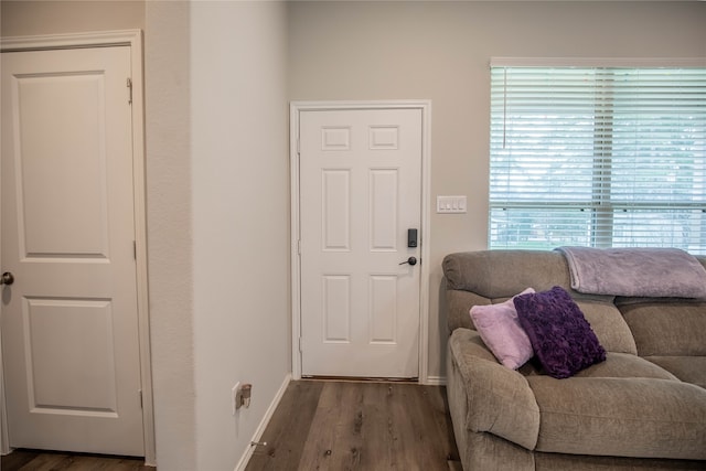 foyer entrance featuring dark hardwood / wood-style flooring