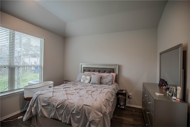 bedroom with lofted ceiling, multiple windows, and dark hardwood / wood-style flooring