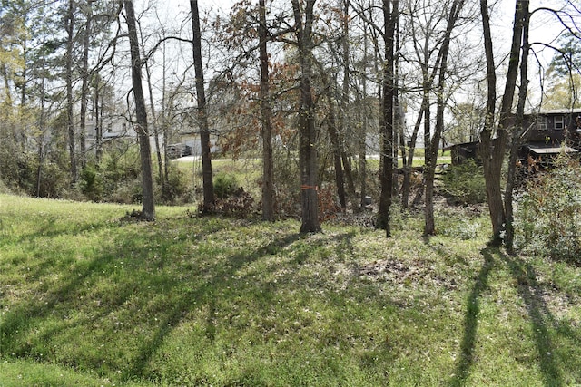 Listing photo 3 for TBD Cedar Point, Livingston TX 77351