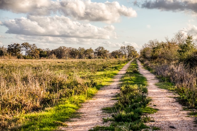 Listing photo 2 for 33637 Giboney Rd, Hempstead TX 77445