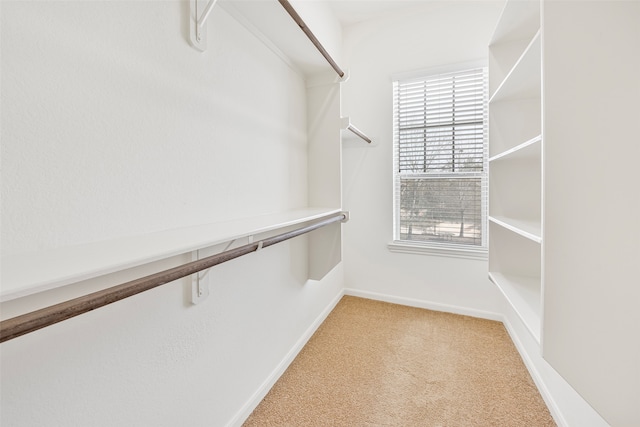 spacious closet with light carpet