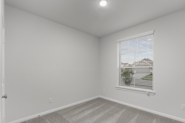 empty room featuring carpet floors