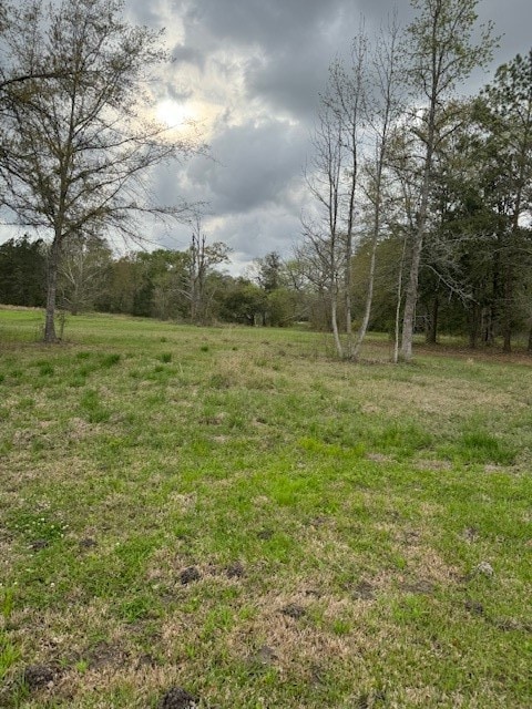 Listing photo 2 for 0 Maxwell, Silsbee TX 77656