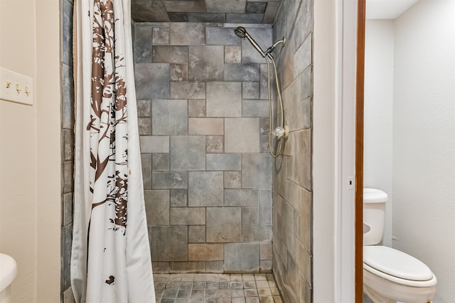 bathroom with toilet and a shower with shower curtain