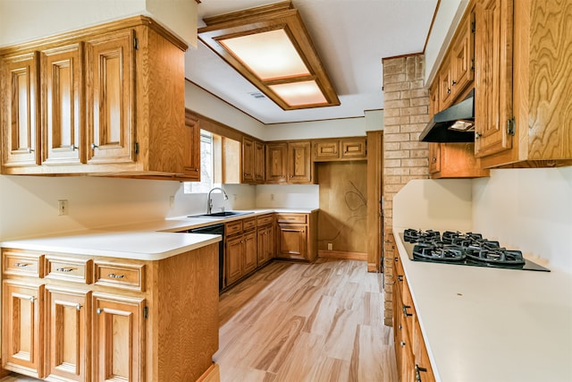 kitchen featuring light hardwood / wood-style flooring, black appliances, and sink