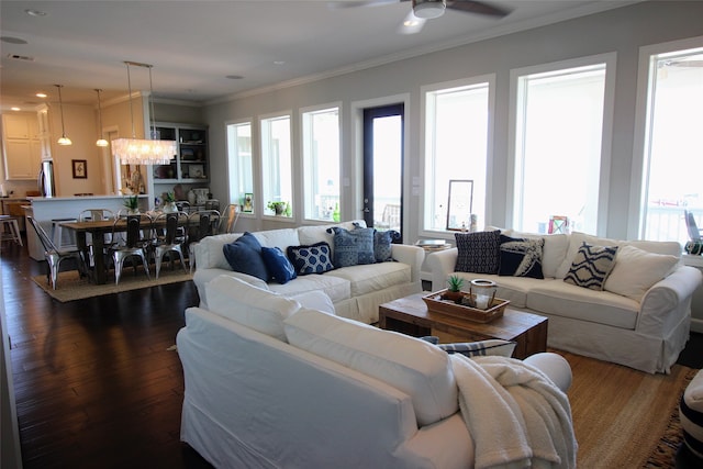 living room with ornamental molding, ceiling fan with notable chandelier, and dark hardwood / wood-style flooring