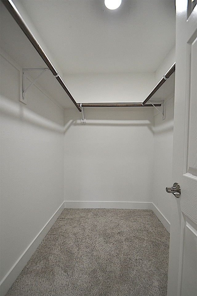 walk in closet featuring carpet flooring