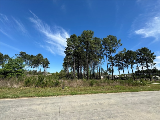 1536 Rd 5007, Cleveland TX, 77327 land for sale