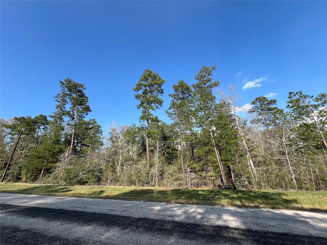 3-17-3B Winchester Rd, Huntsville TX, 77340 land for sale