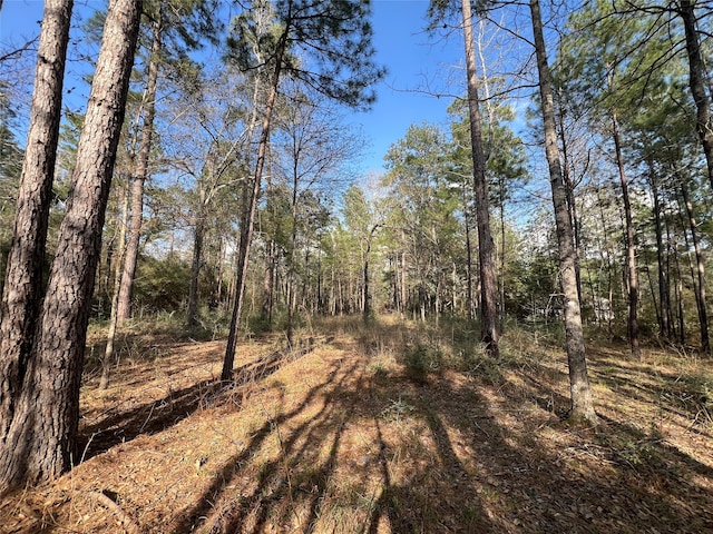 Listing photo 3 for 3-17-3B Winchester Rd, Huntsville TX 77340