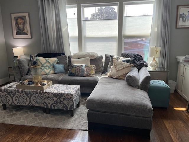 living room with dark hardwood / wood-style flooring