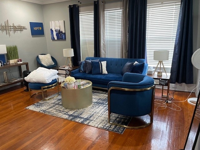 living room featuring hardwood / wood-style flooring