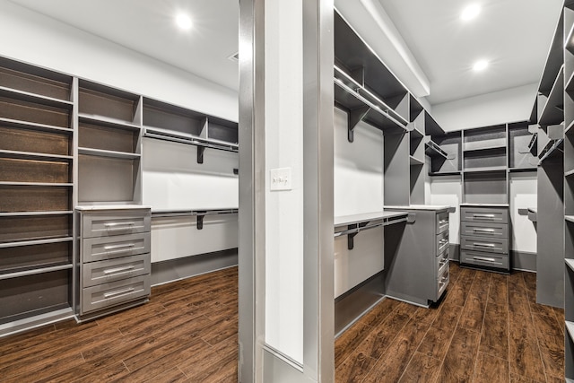 spacious closet with dark wood-style floors