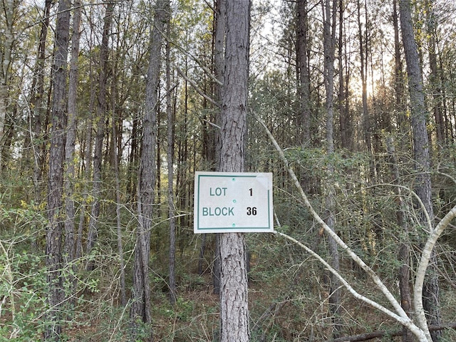 Listing photo 2 for LOT1-36-14 Larkspur Ln, Huntsville TX 77358