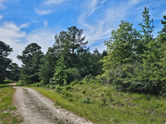 Listing photo 2 for TBD Hollybrook Dr, Trinity TX 75862