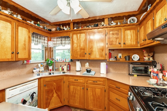 kitchen featuring ceiling fan, a textured ceiling, sink, dishwasher, and custom range hood