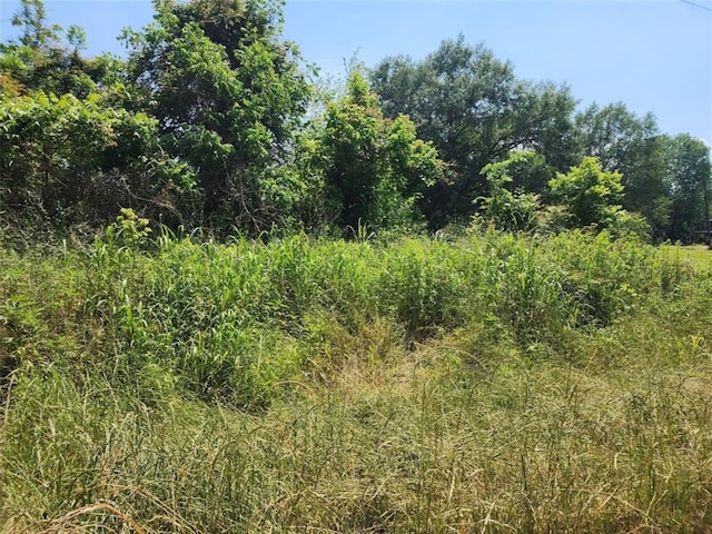 TBD Holt St, Coldspring TX, 77331 land for sale