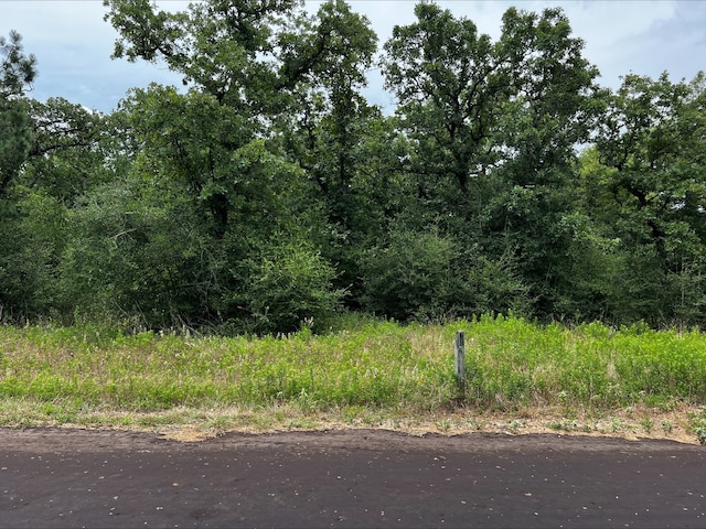 1518 County Rd 1464, Centerville TX, 75833 land for sale