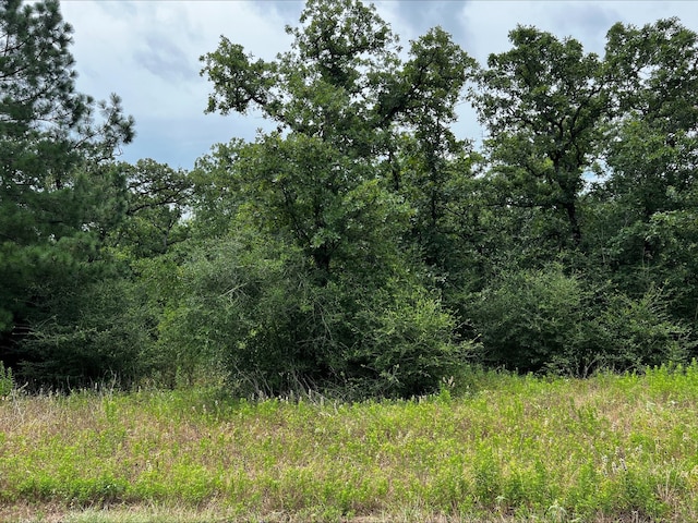 Listing photo 2 for 1518 County Rd 1464, Centerville TX 75833