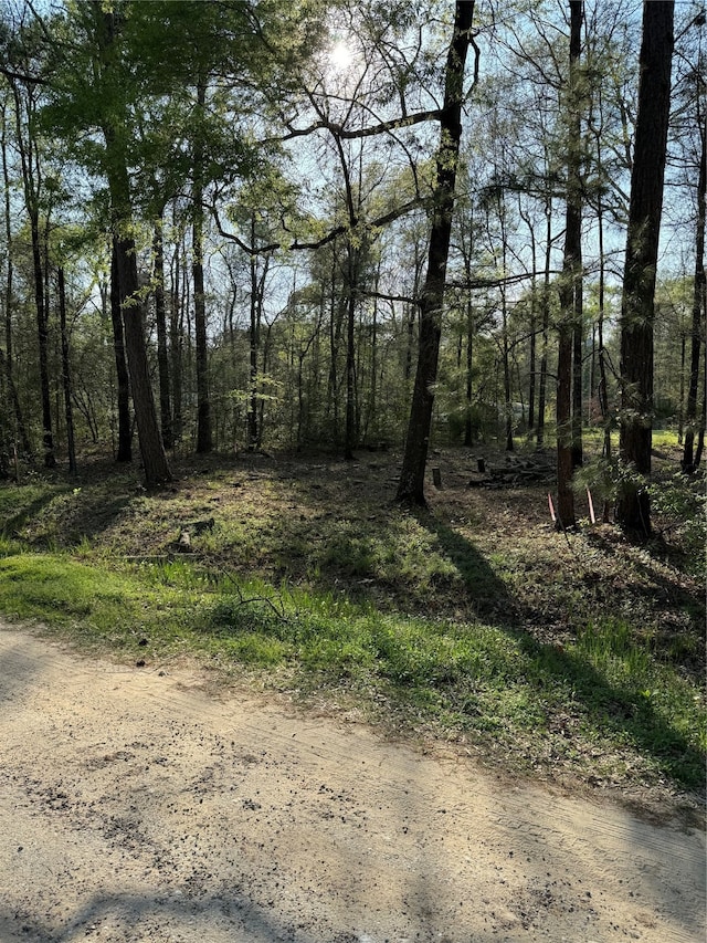 TBD Knotty-Pine, Livingston TX, 77351 land for sale