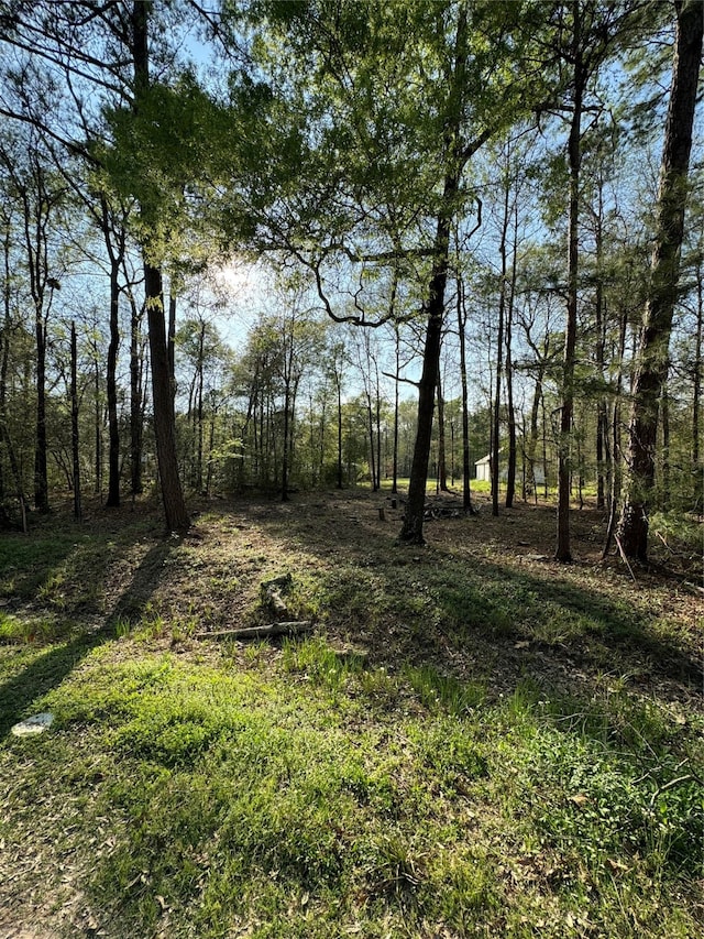 Listing photo 2 for TBD Knotty-Pine, Livingston TX 77351