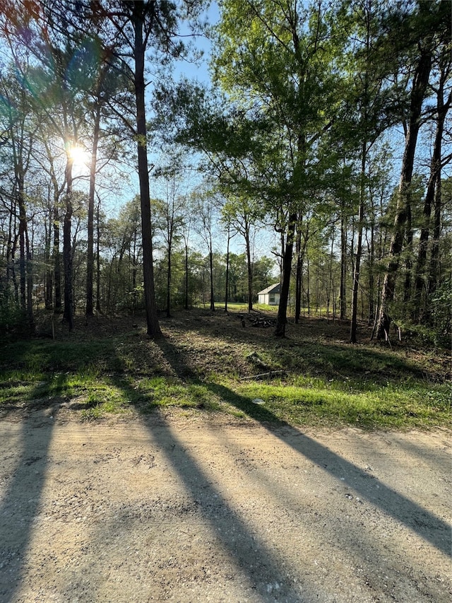 Listing photo 3 for TBD Knotty-Pine, Livingston TX 77351