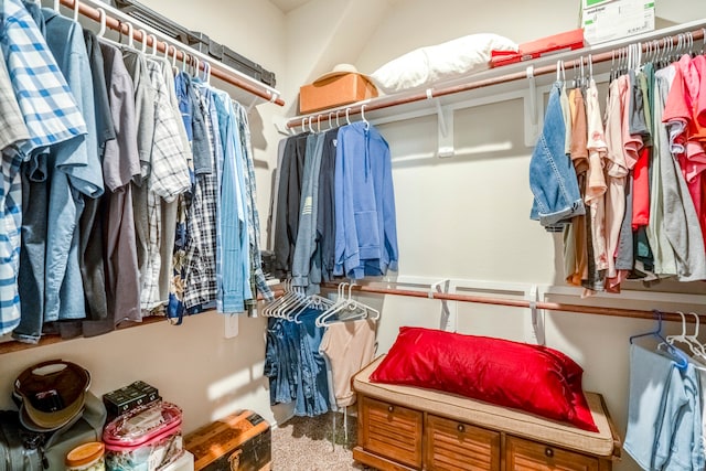 spacious closet with carpet