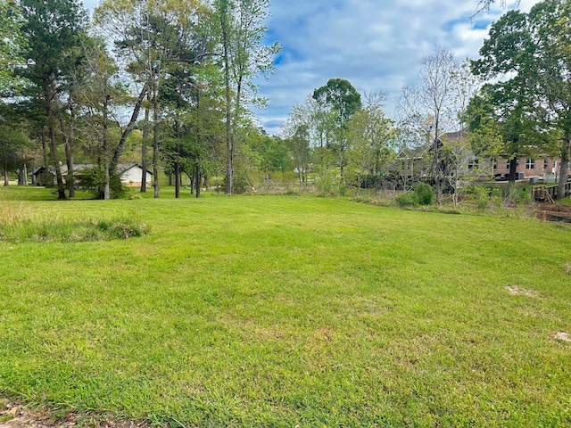 Listing photo 2 for TBD W Lake Dr, Livingston TX 77351