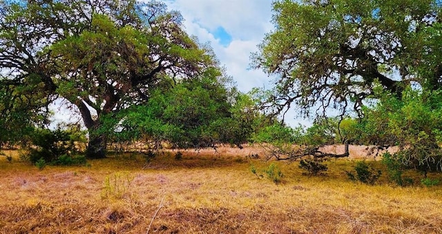 530 Buckskin Trl, Bandera TX, 78003 land for sale