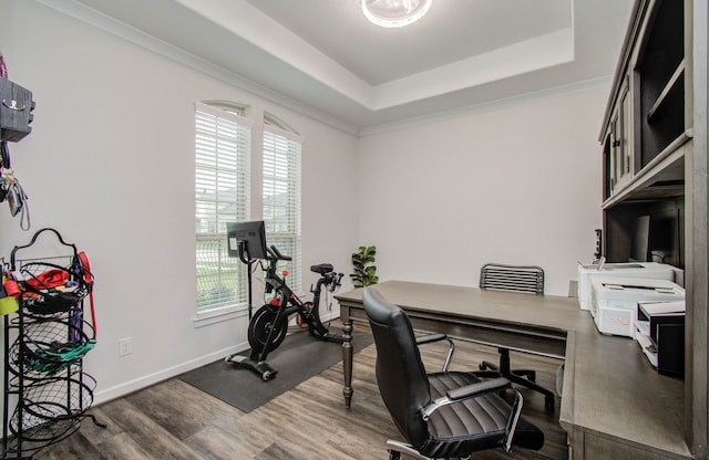 office with a raised ceiling, dark hardwood / wood-style floors, crown molding, and a wealth of natural light