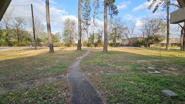 view of yard