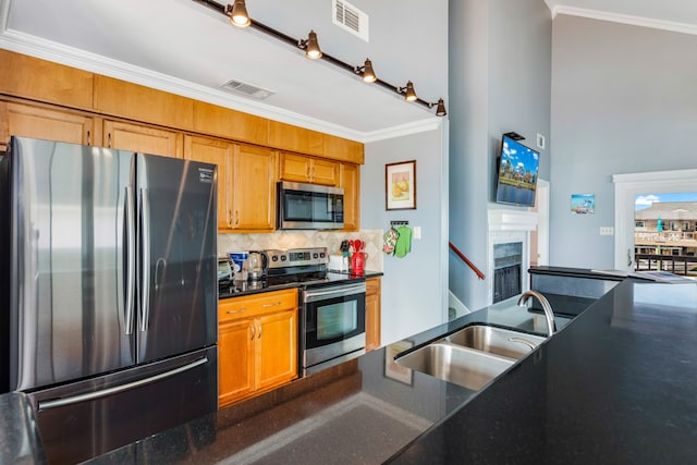 kitchen featuring appliances with stainless steel finishes, sink, a high end fireplace, tasteful backsplash, and ornamental molding