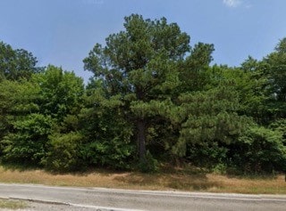 11500 US Highway 271, Arthur City TX, 75460 land for sale