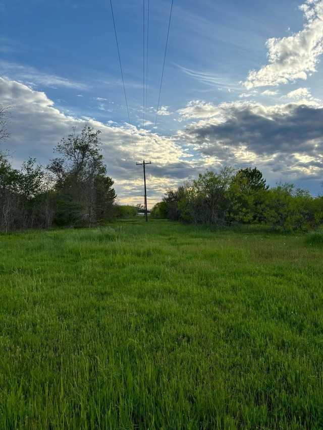 14682 Fm 359th Rd, Hempstead, TX 77445 - photo 4