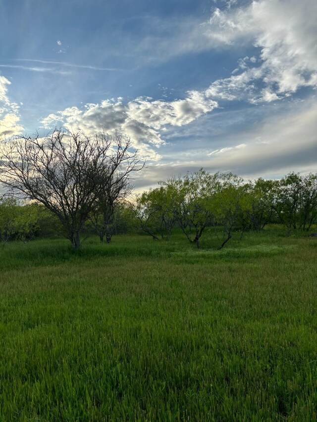 14682 Fm 359th Rd, Hempstead, TX 77445 - photo 5