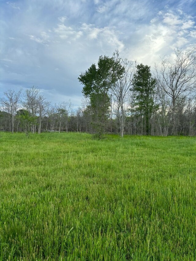 14682 Fm 359th Rd, Hempstead, TX 77445 - photo 6