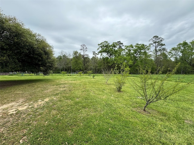 view of yard featuring a rural view