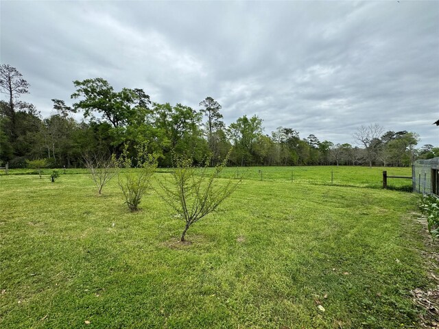 view of yard with a rural view