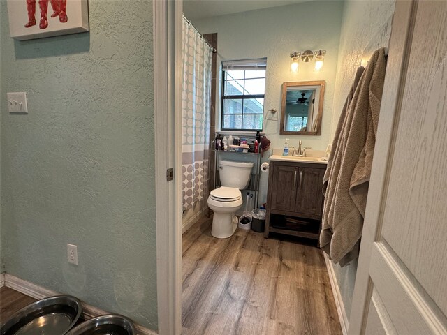 bathroom featuring toilet, wood-type flooring, and large vanity