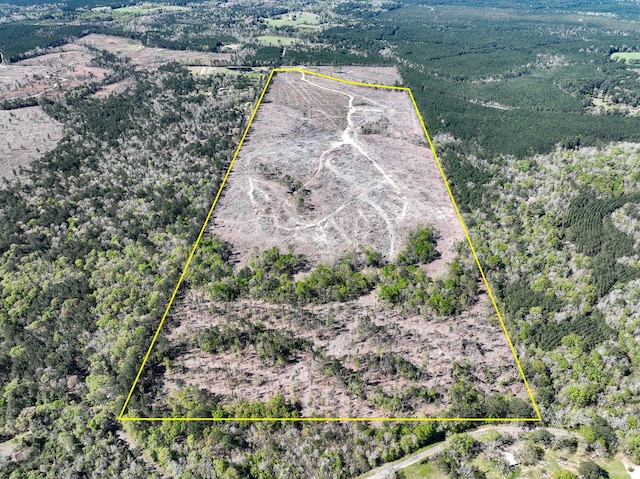 1 County Road 443, Kirbyville TX, 75956 land for sale