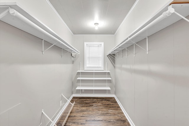 spacious closet with dark hardwood / wood-style floors