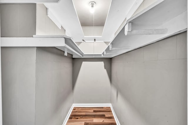 spacious closet with wood-type flooring