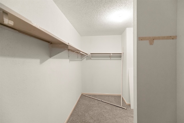 walk in closet featuring carpet