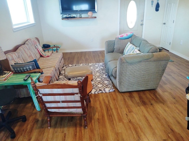 living room featuring hardwood / wood-style flooring